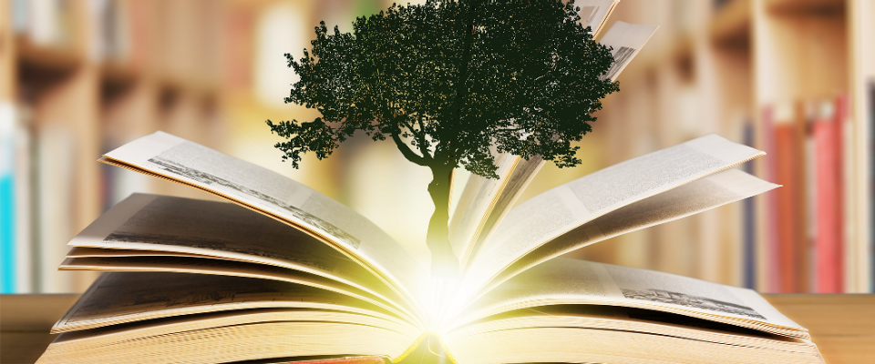 illustration of a tree growing out of an open book. 