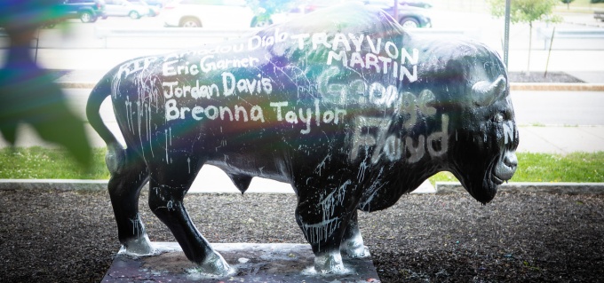 Outside the Student Union on the North Campus is the “Paint-a-Bull” statue that members of the UB community can paint any time. 