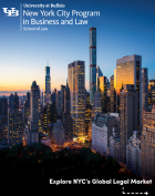 cover of a brochure, image of the NYC skyline, text that says UB New York City Program in Business and Law. 