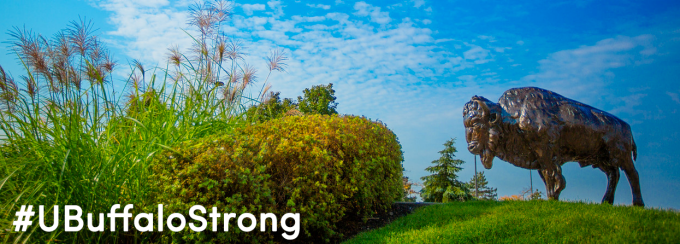 bronze buffalo statue standing on a hill.