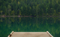 dock over water in deep green forest.